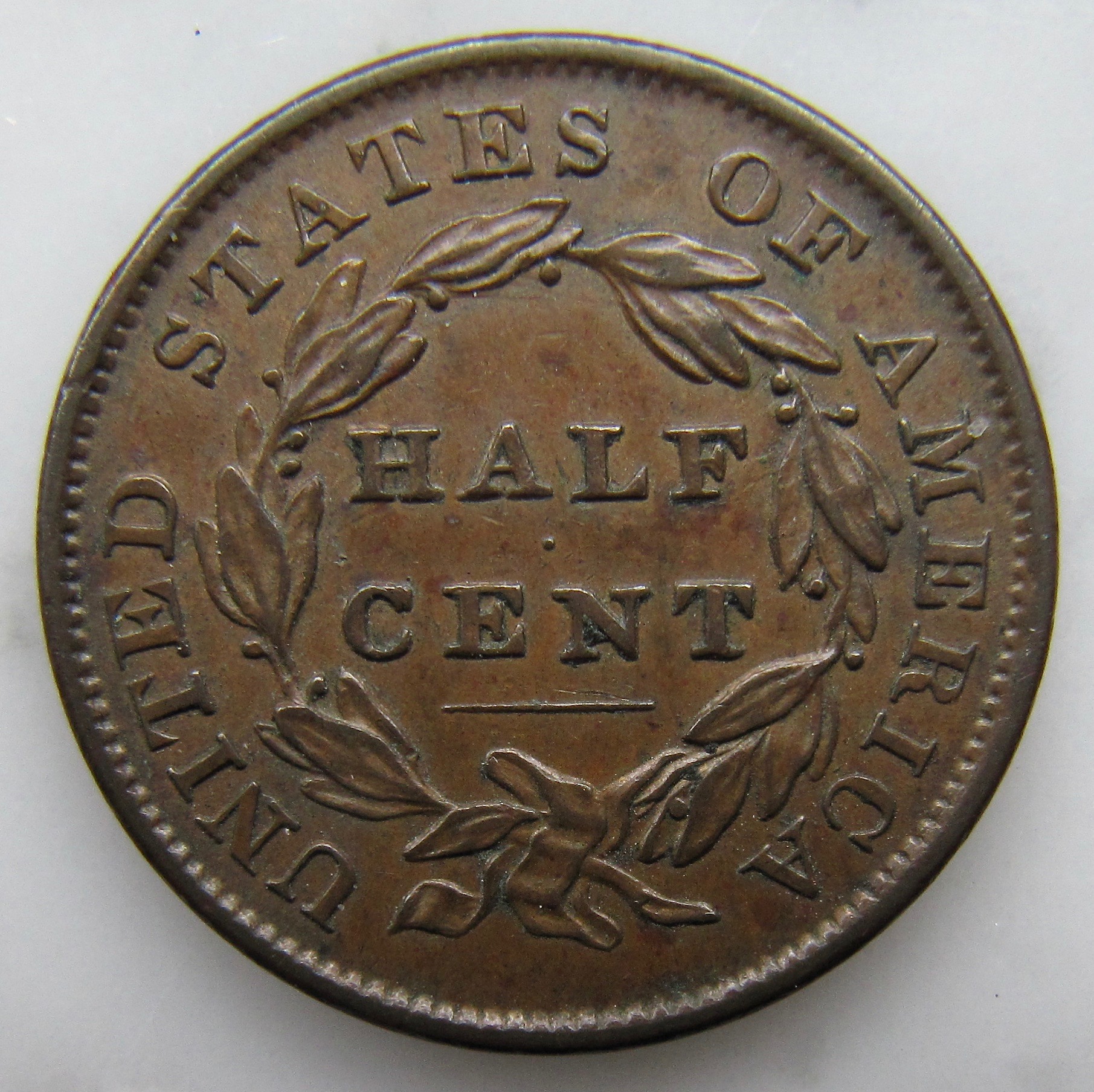1835 half cent REV1 N - 1.jpg
