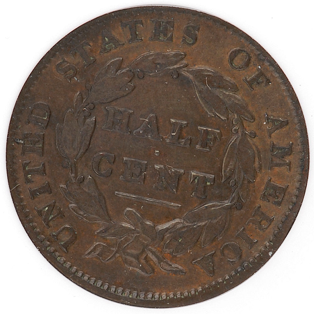 1835-HalfCent-Rev.jpg
