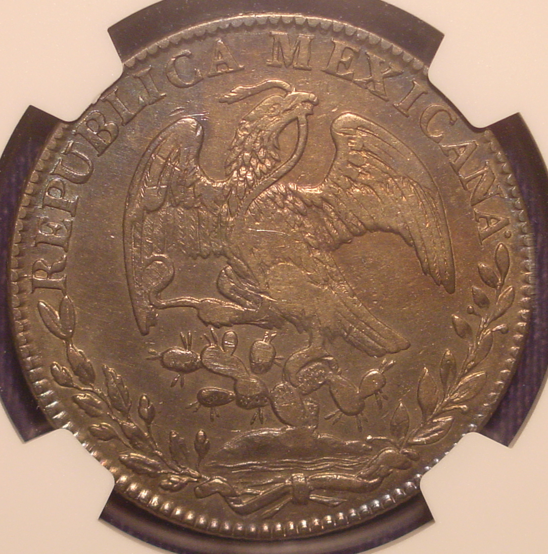 1835 Mexican 8 Reales R.jpg