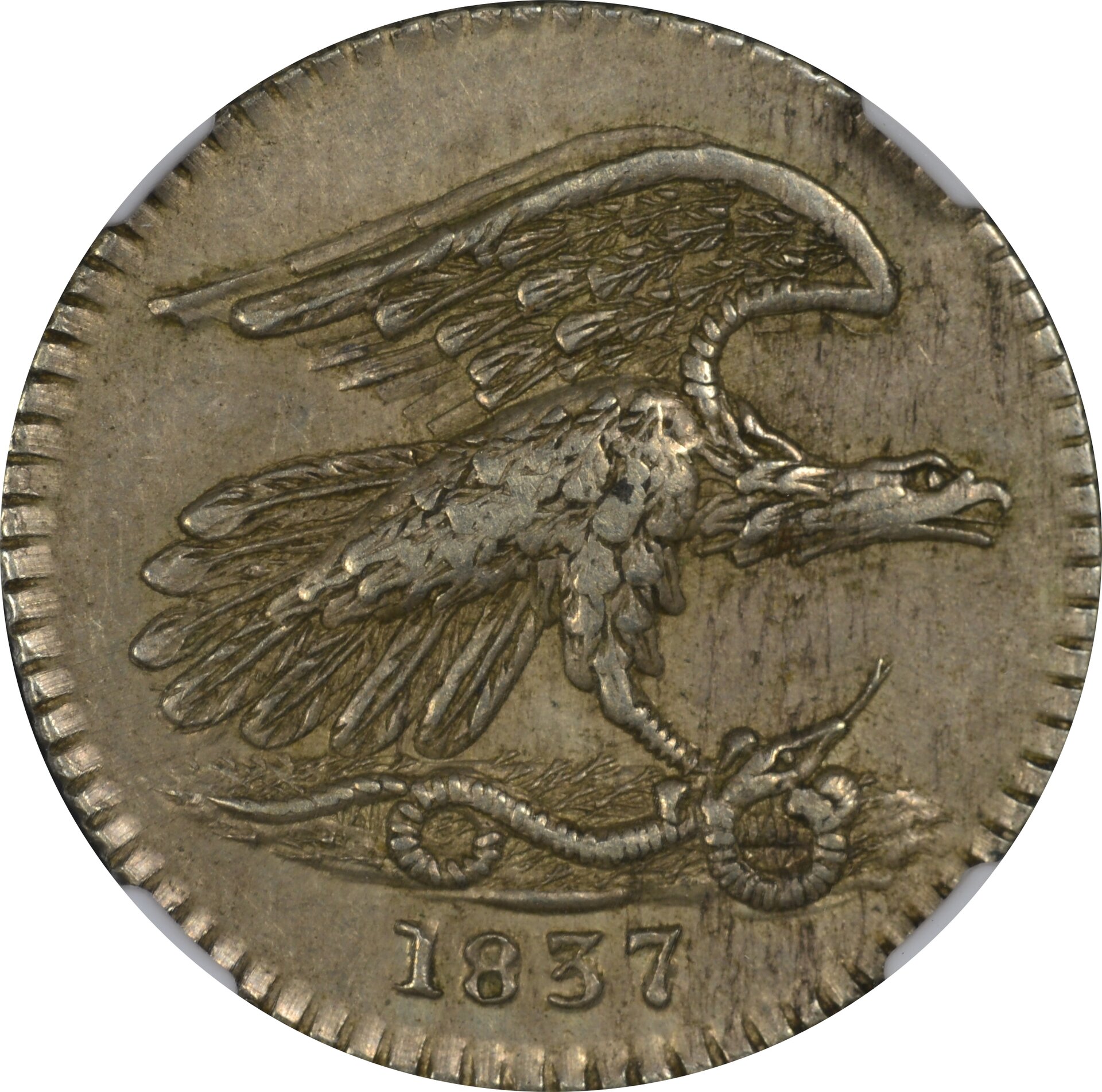 1837 Feuchtwanger Cent Obv.jpg