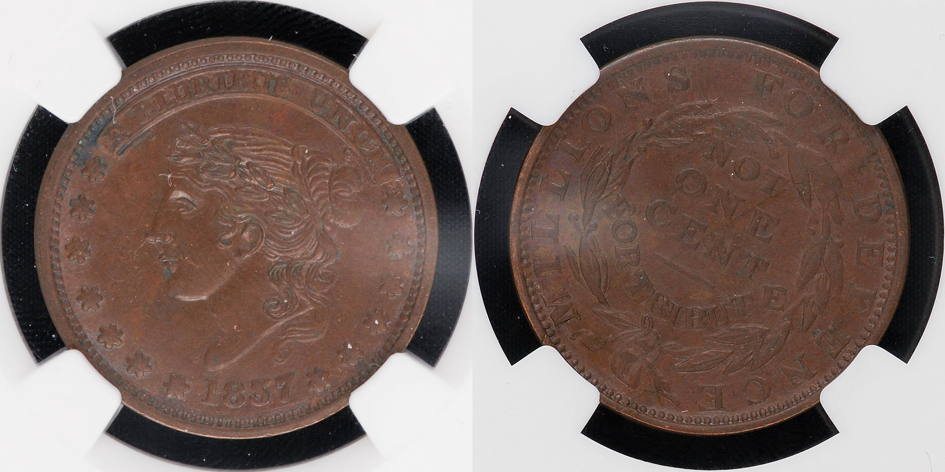 1837-HT46.jpg