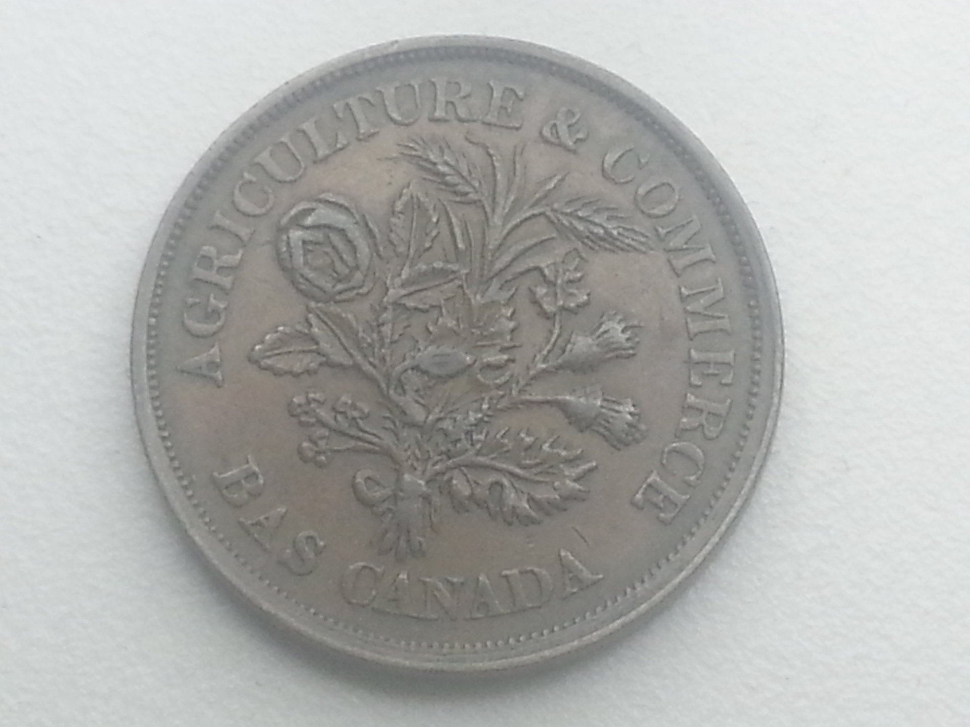 1837c1.jpg
