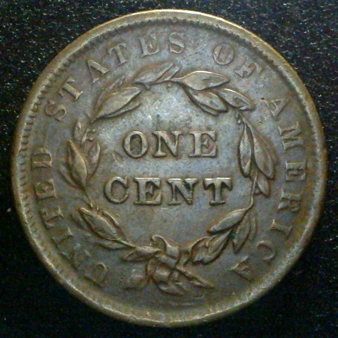 1839boobyrev.jpg