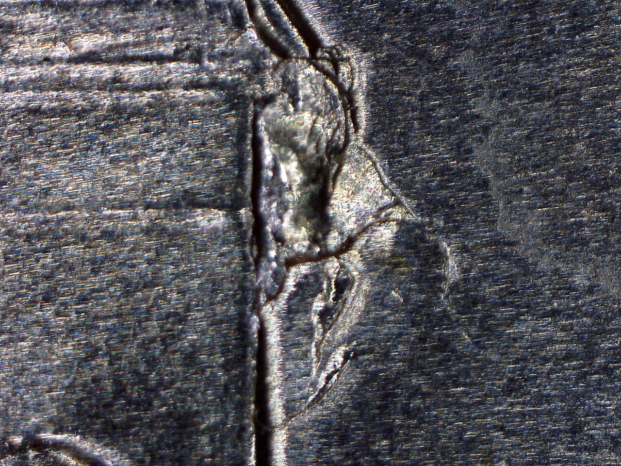 18423211316730.jpg