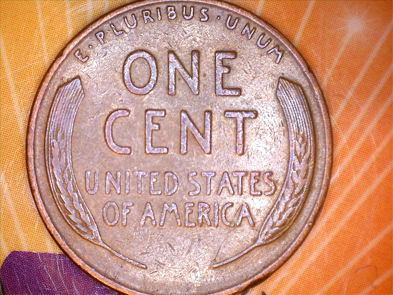1842921823446.jpg
