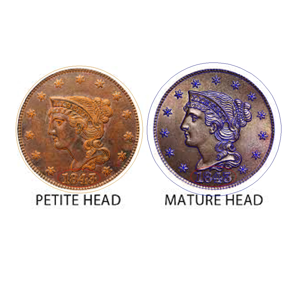 1843 Mature Petite.JPG