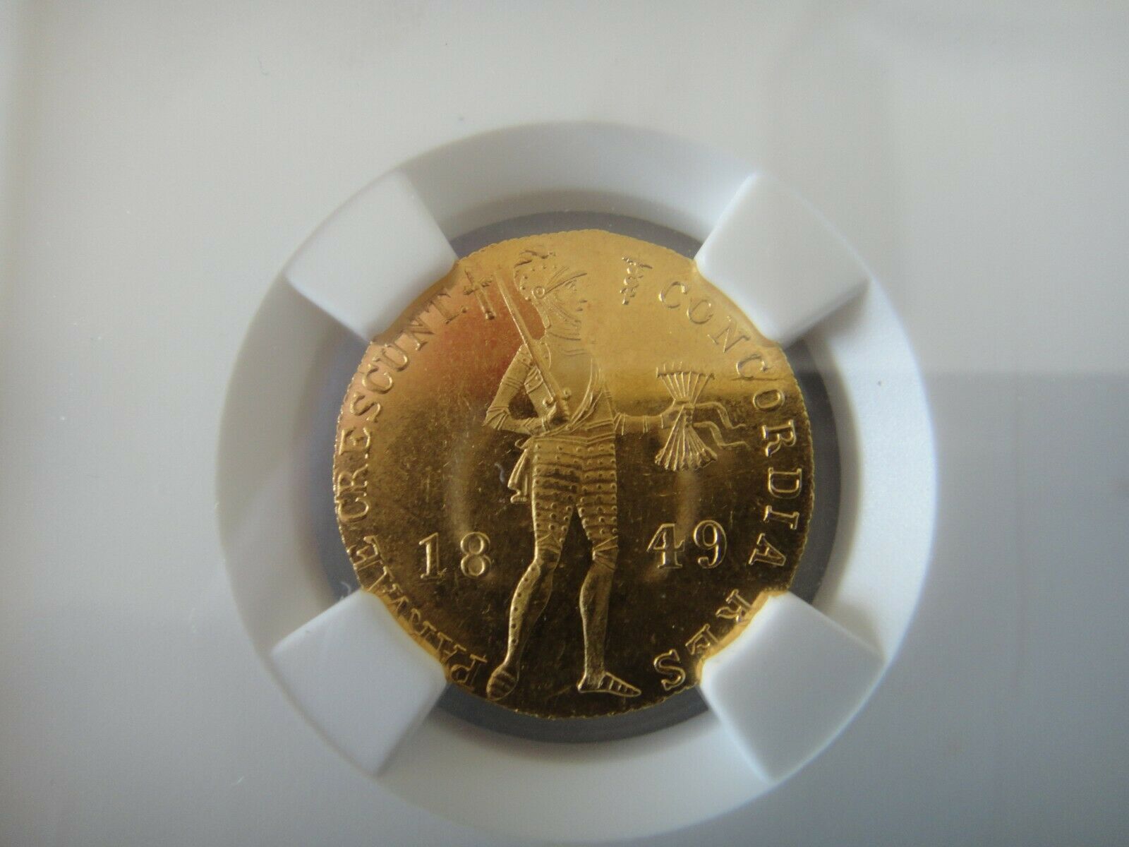 1849b.jpg