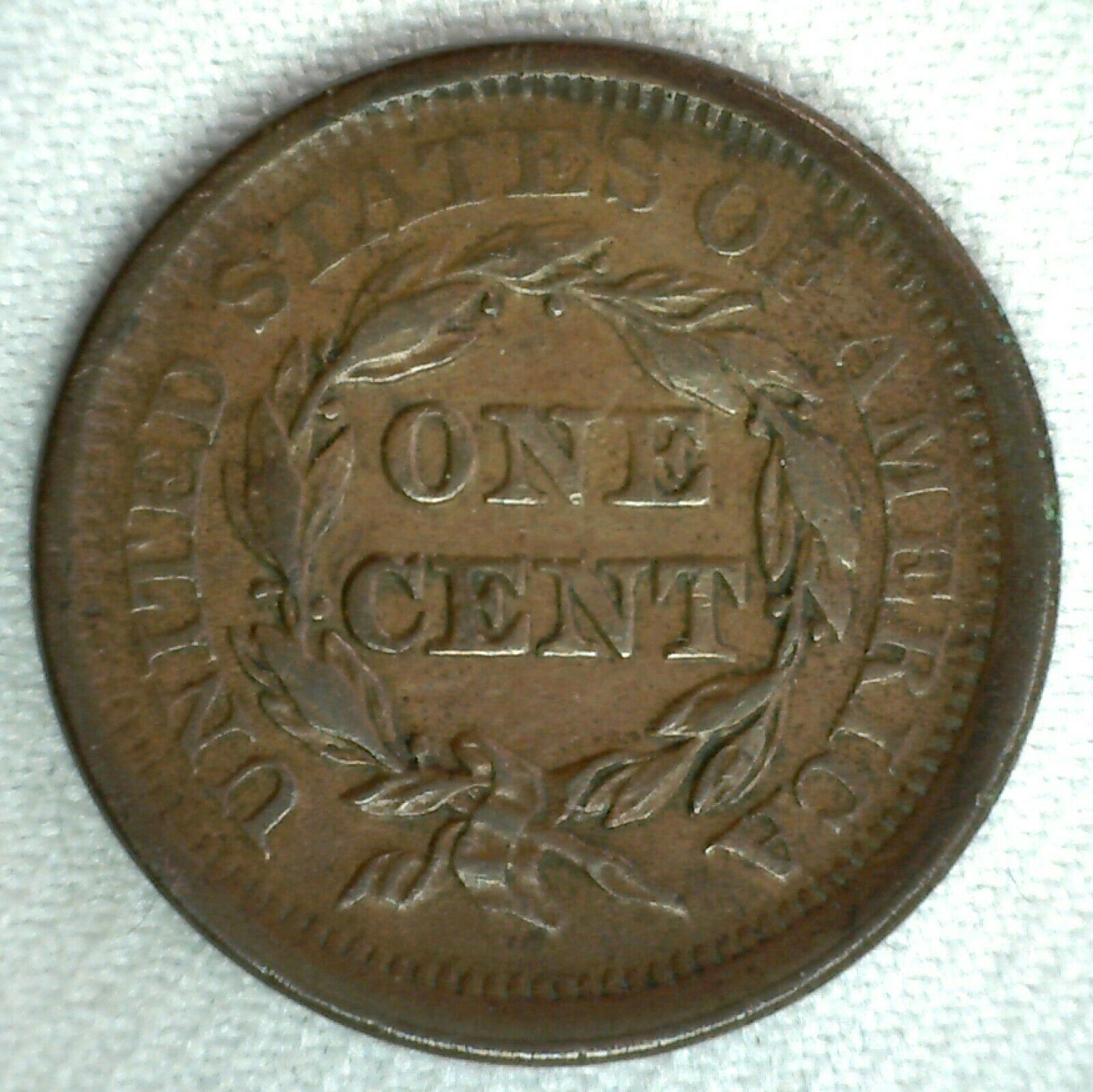 1851-81R.jpg