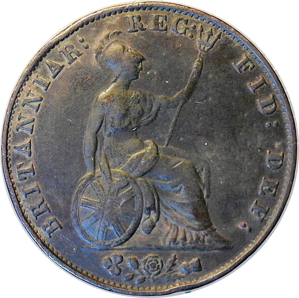 1851rev.jpg