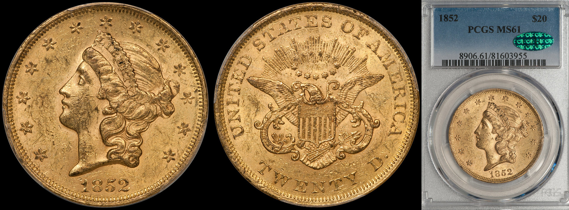 1852_20_P61_CAC.jpg