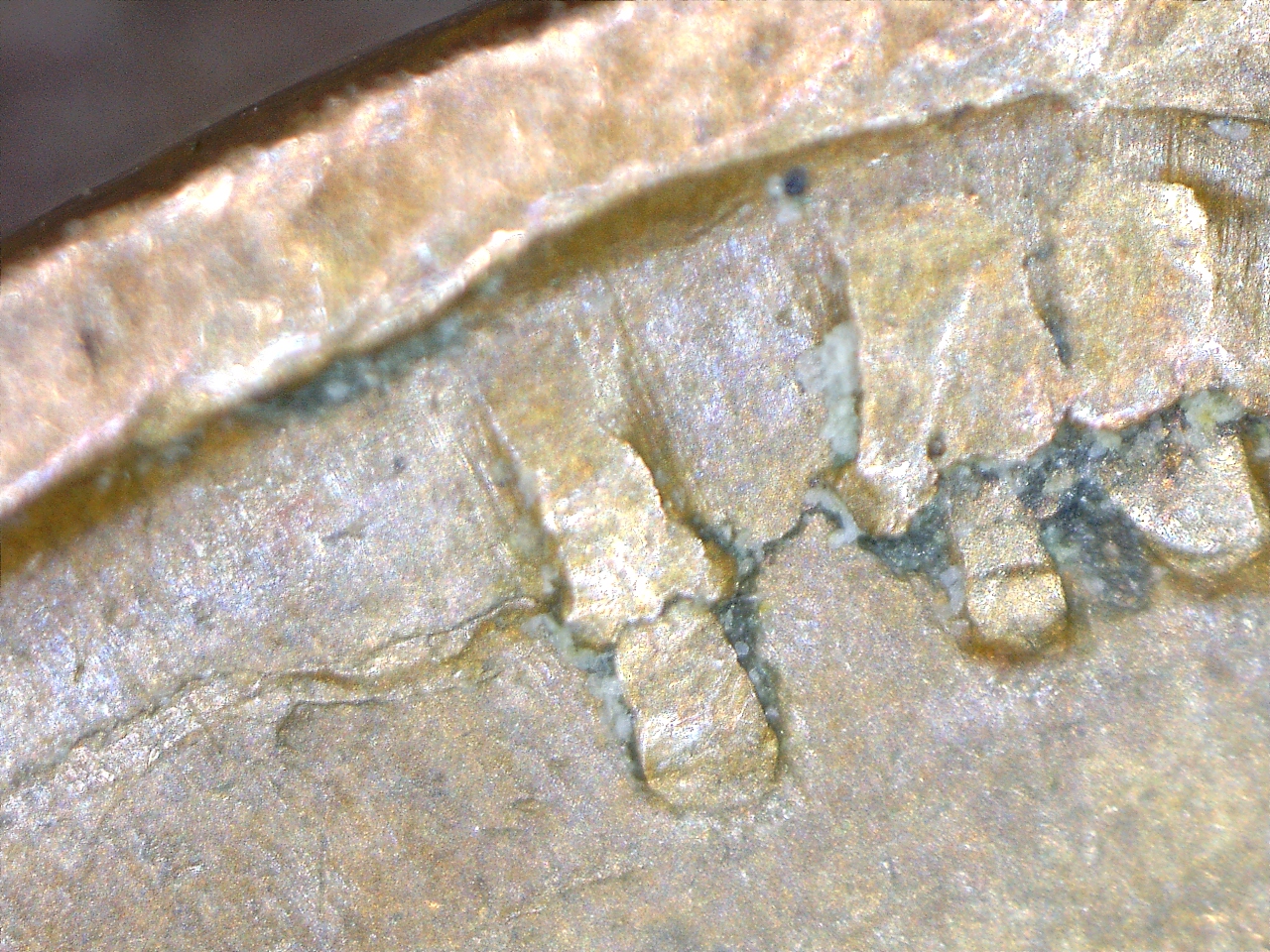 1853019154966.jpg