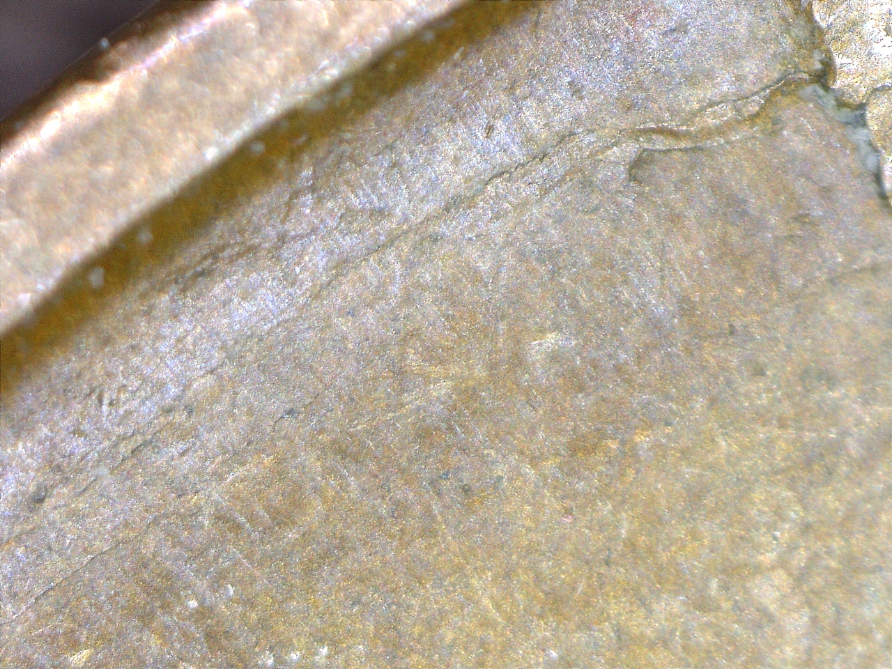 185301916481.jpg