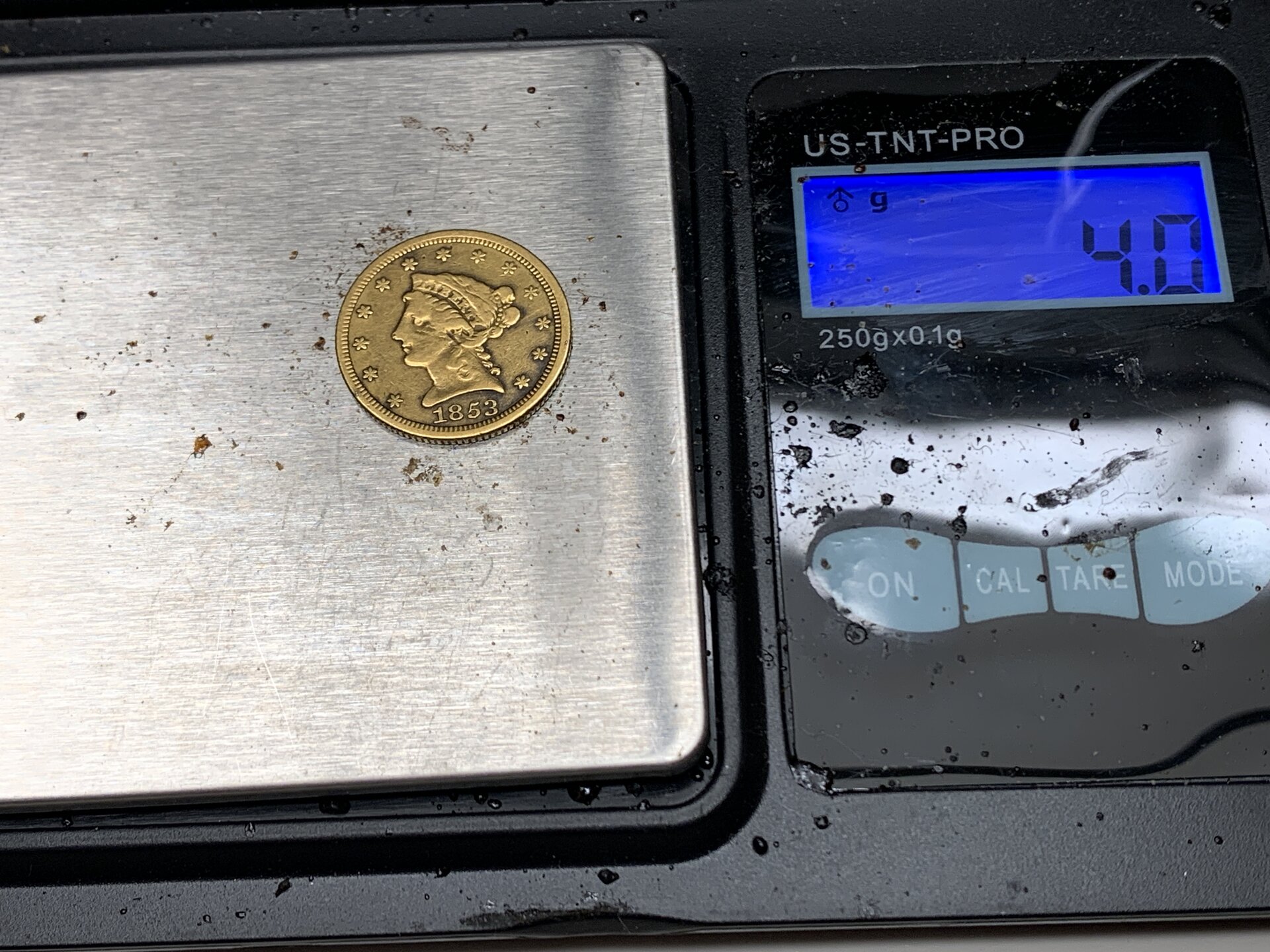 1853goldbabeb.jpg