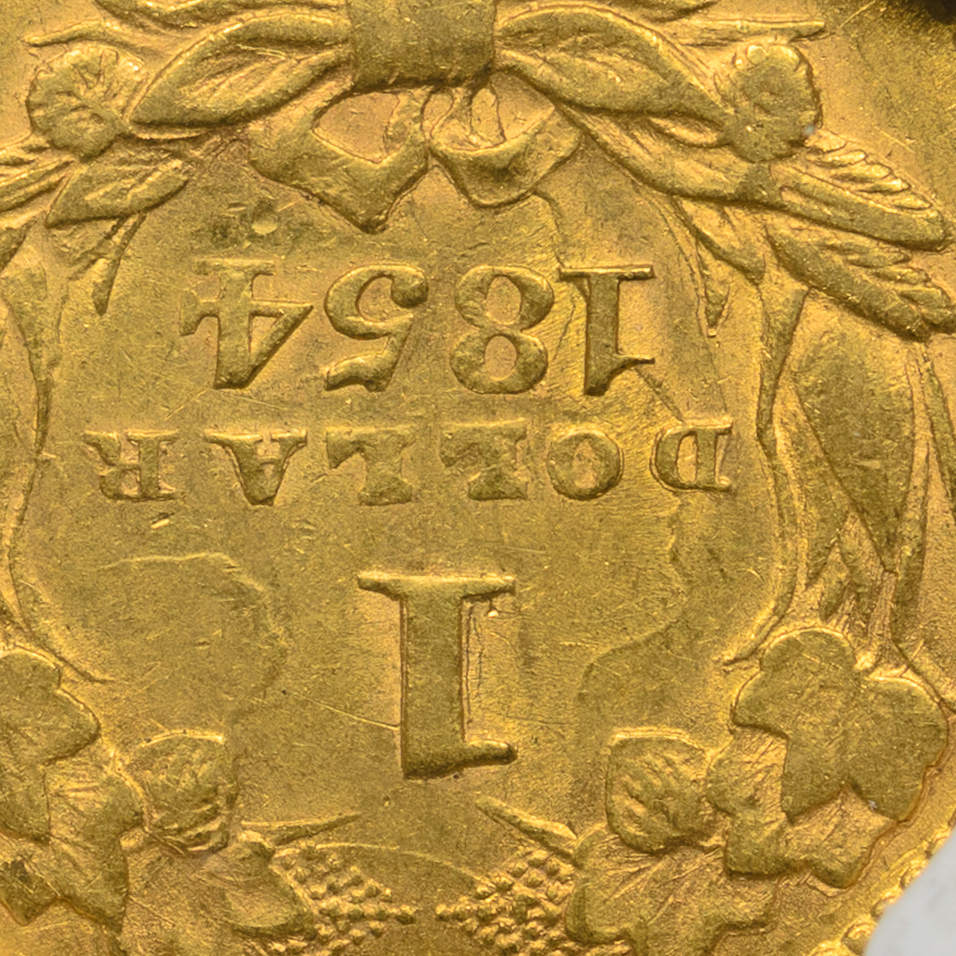 1854 G$1 GOLD DOLLARS - TYPE 2 NGC AU55 3655716-005 CAC Rev Closeup detail.jpg