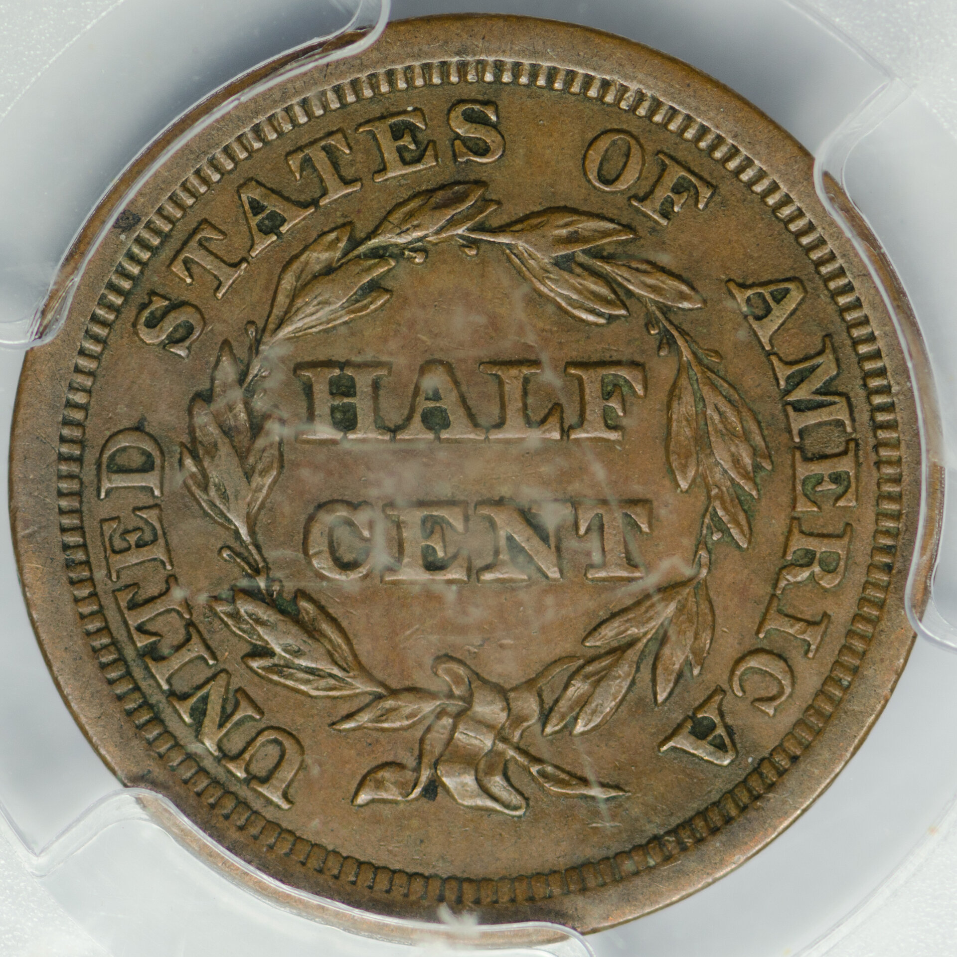 1854 H1C HALF CENT - CORONET, BRAIDED HAIR C-1 PCGS AU50BROWN 24081892 CAC Rev Closeup.jpg