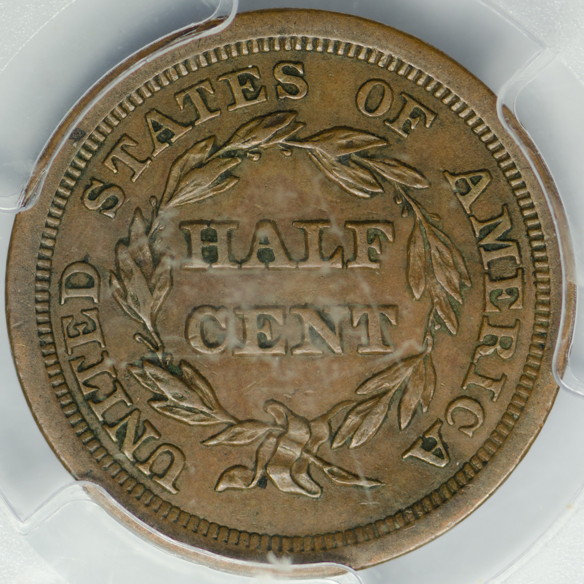 1854 H1C HALF CENT - CORONET, BRAIDED HAIR C-1 PCGS AU50BROWN 24081892 CAC Rev Closeup.jpg