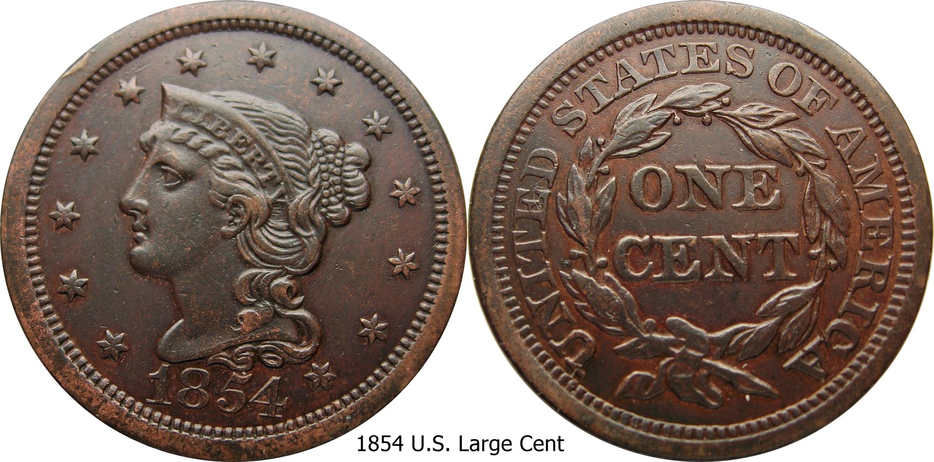1854 Large Cent 72117.jpg