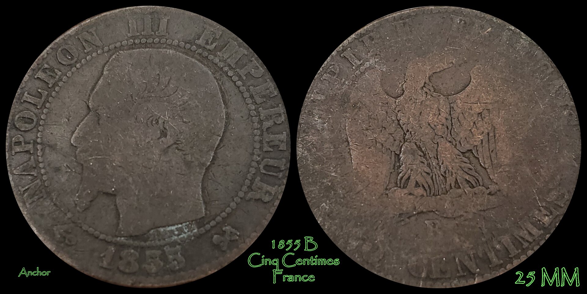 1855 b cinq cents dog.jpg