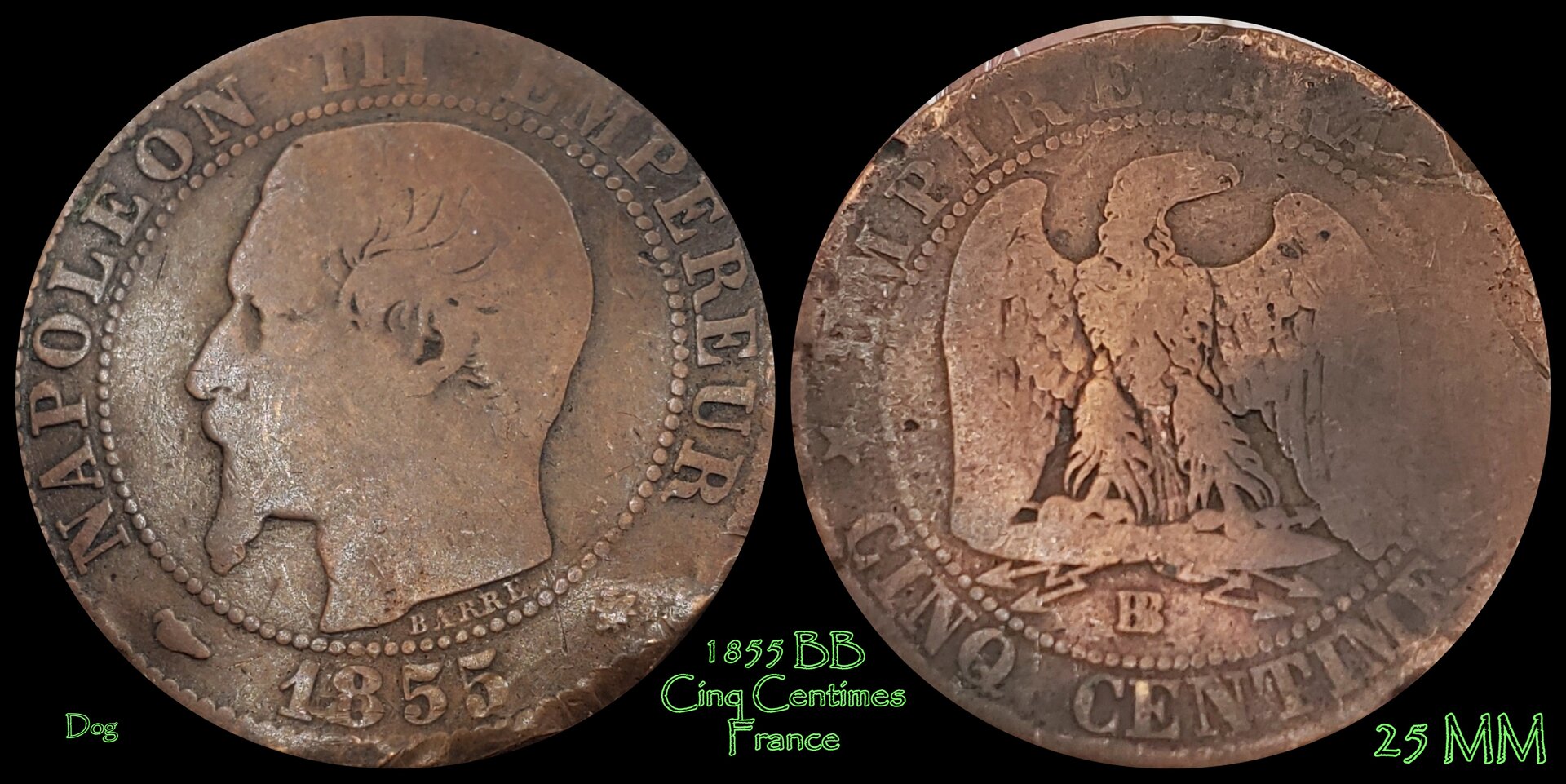 1855 bb cinq cents dog.jpg