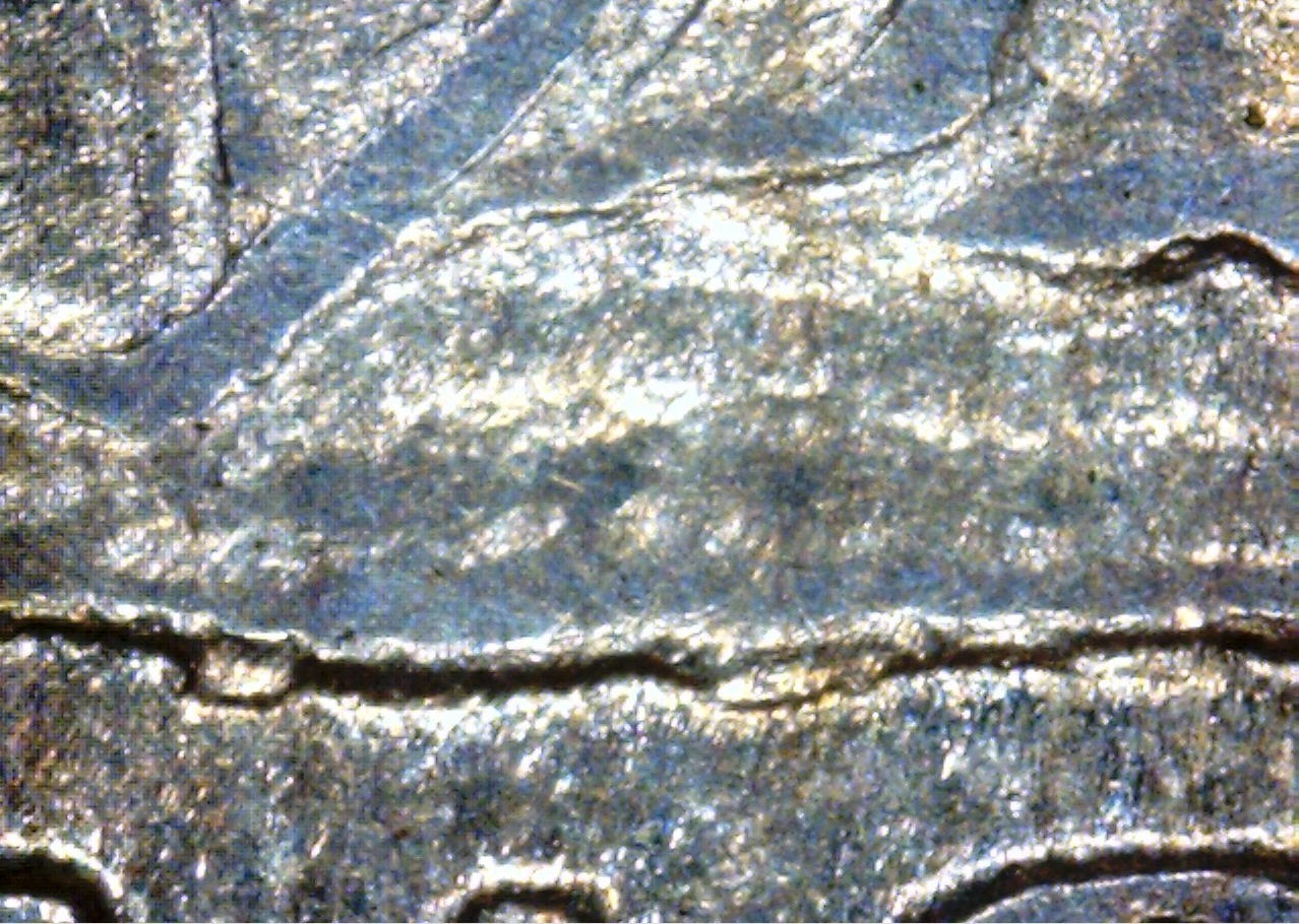 1855 h 10 mpd-crop.jpg