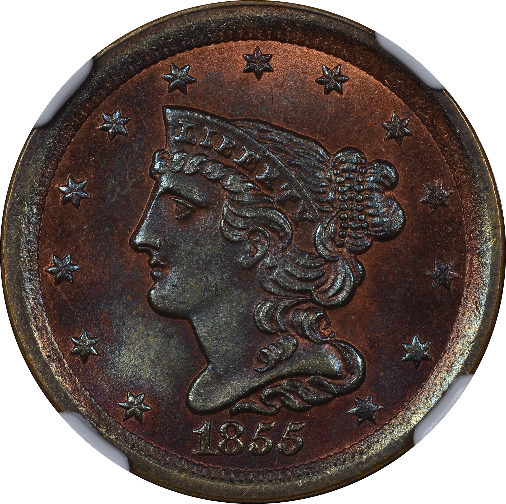 1855 Half Cent Obv-1.jpg
