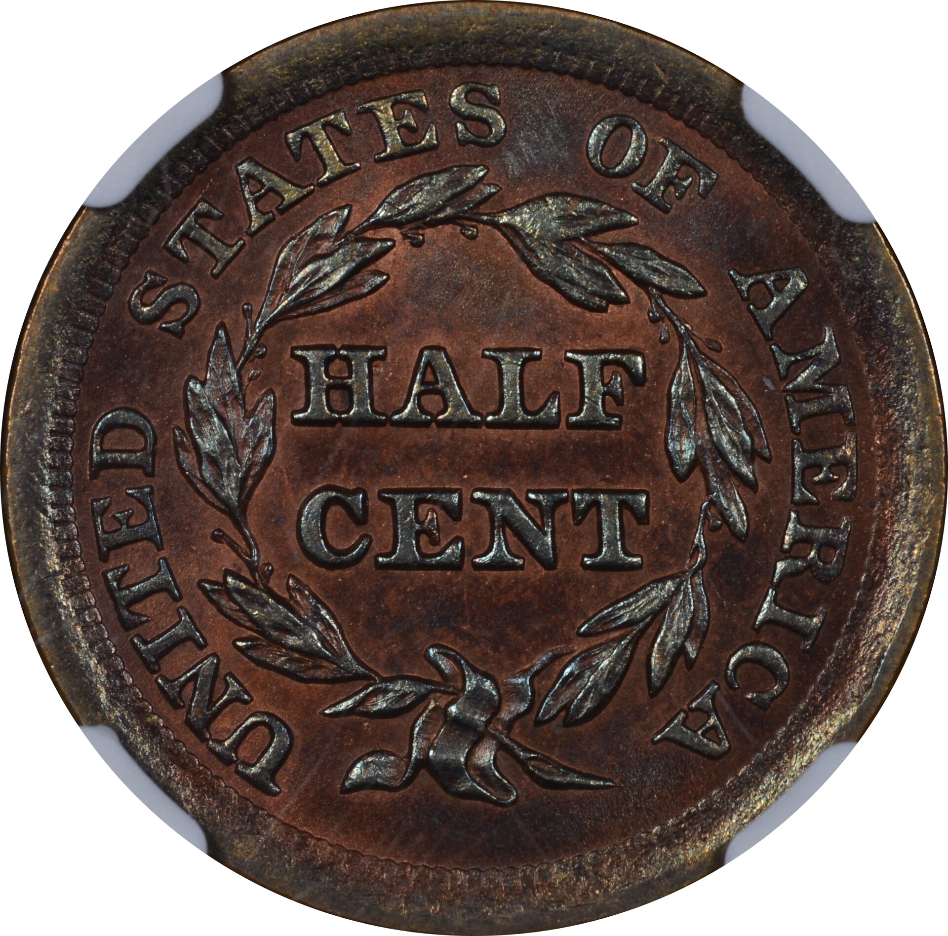 1855 Half Cent Rev-1.jpg