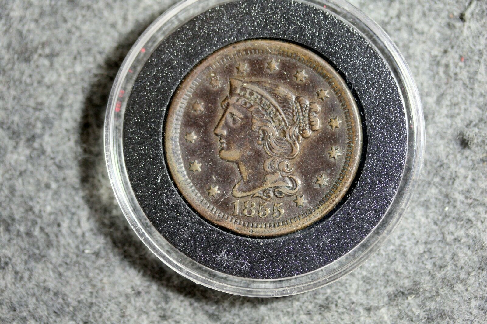 1855.jpg