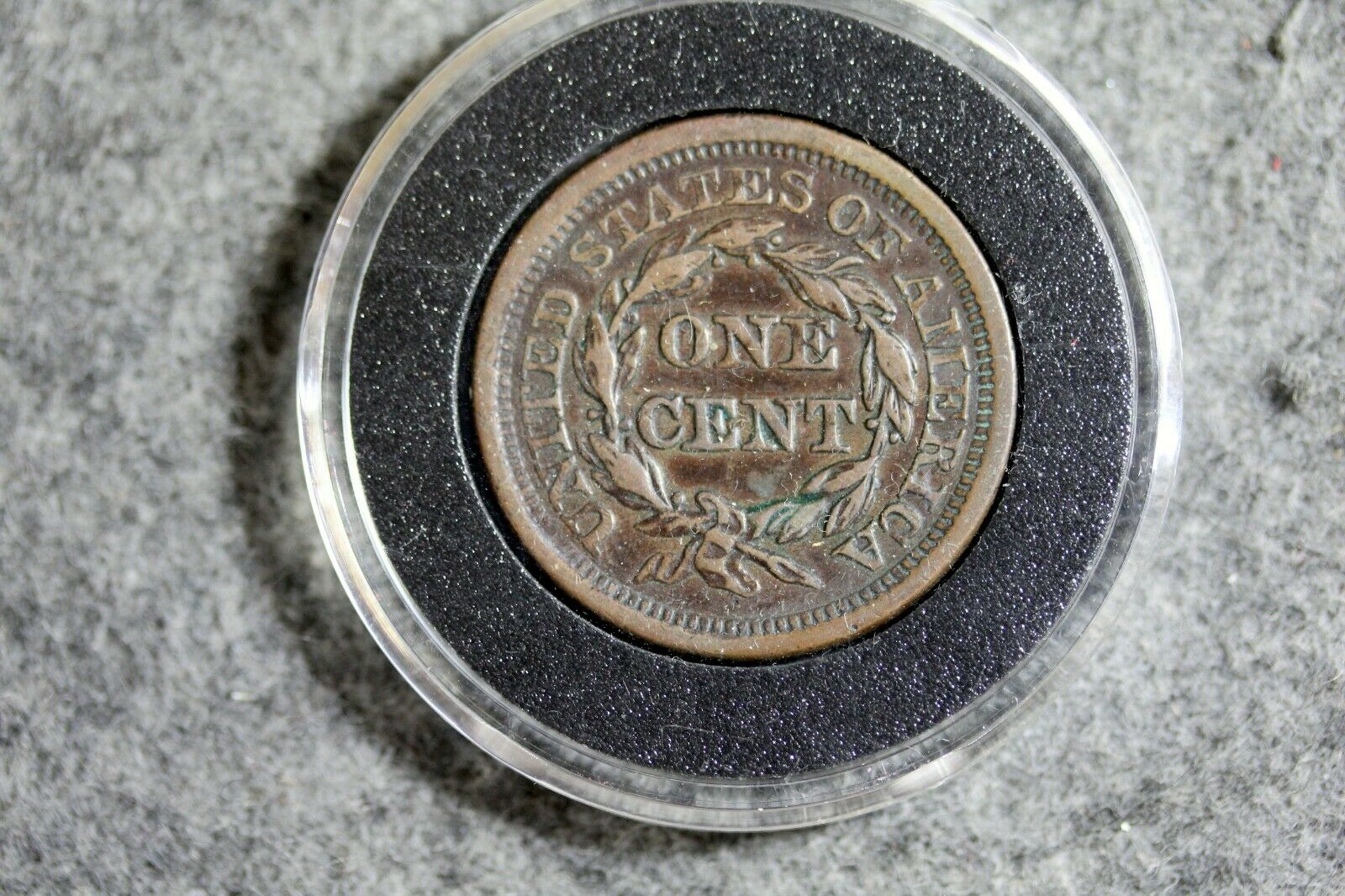 1855r.jpg