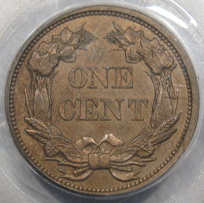 1856(2) rev_opt.jpg