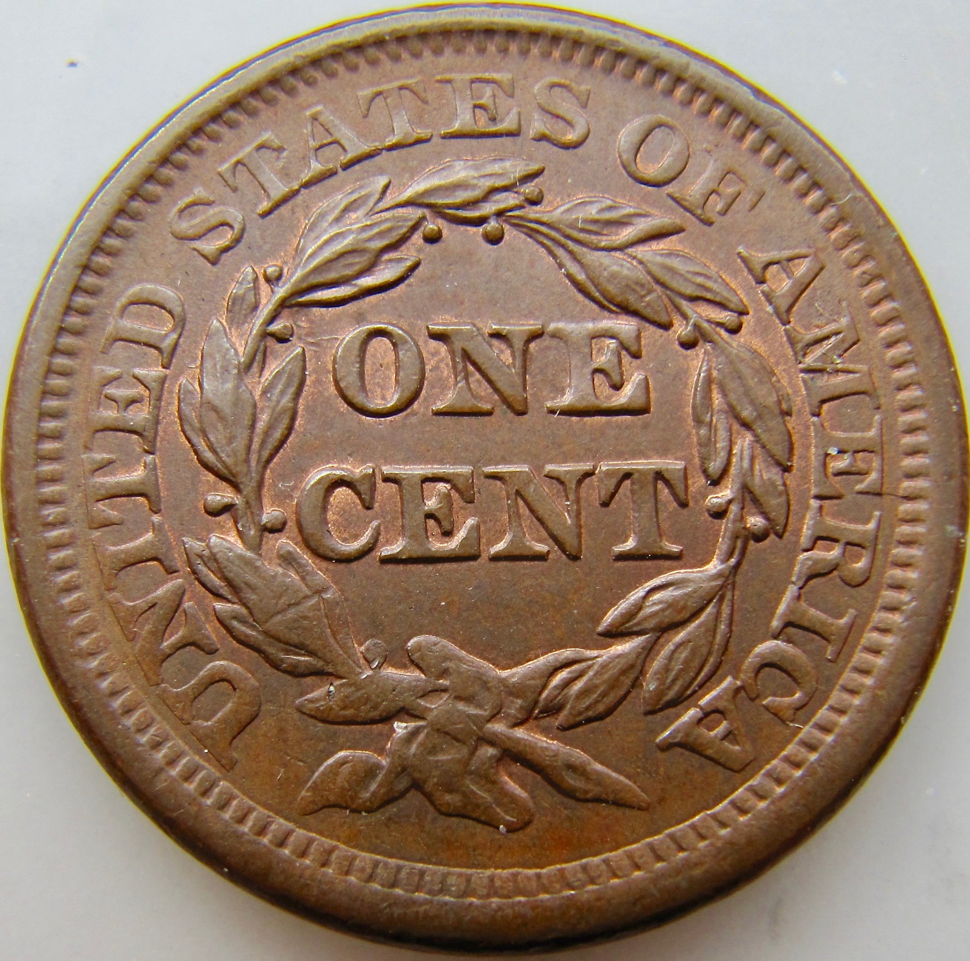 1856 cent REV1 N - 1.jpg