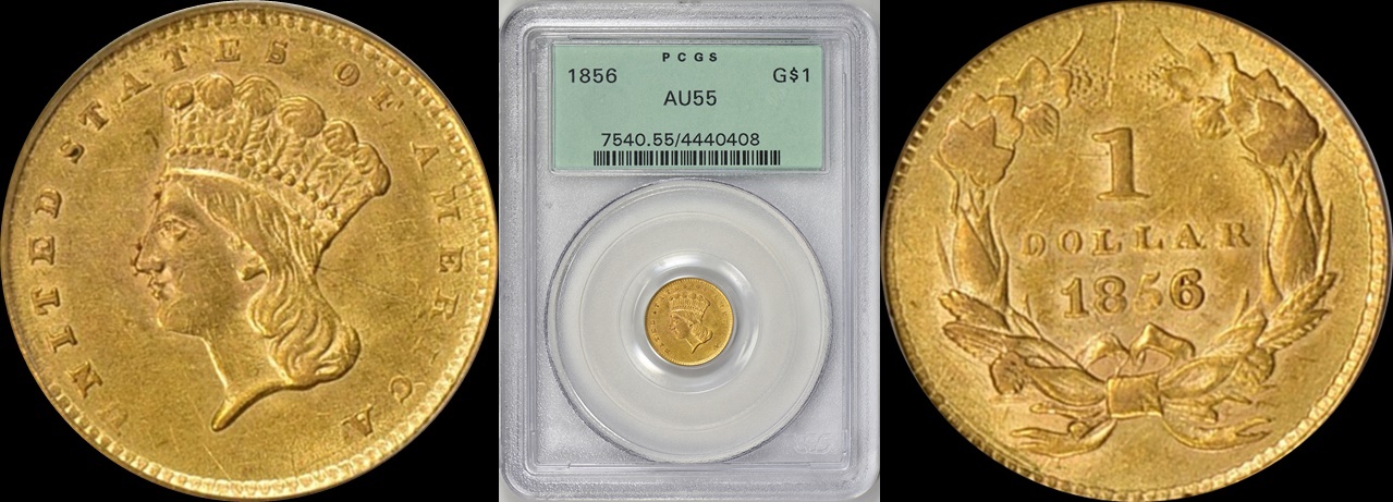 1856 Indian Princess Gold Dollar Slanted 5 PCGS AU-55 OGH n-horz.jpg