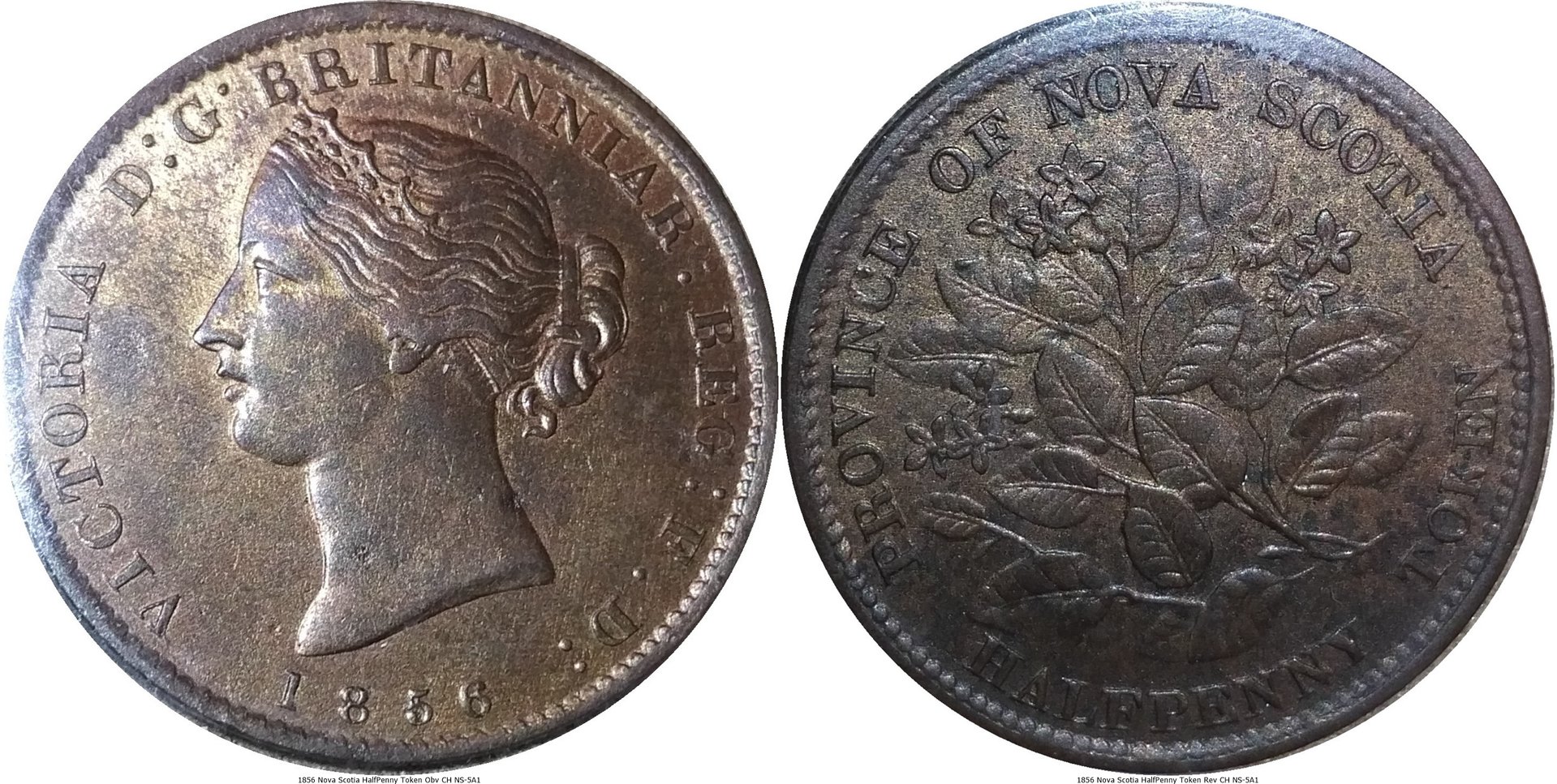 1856 Nova Scotia HalfPenny Token  CH NS-5A1-tile.jpg