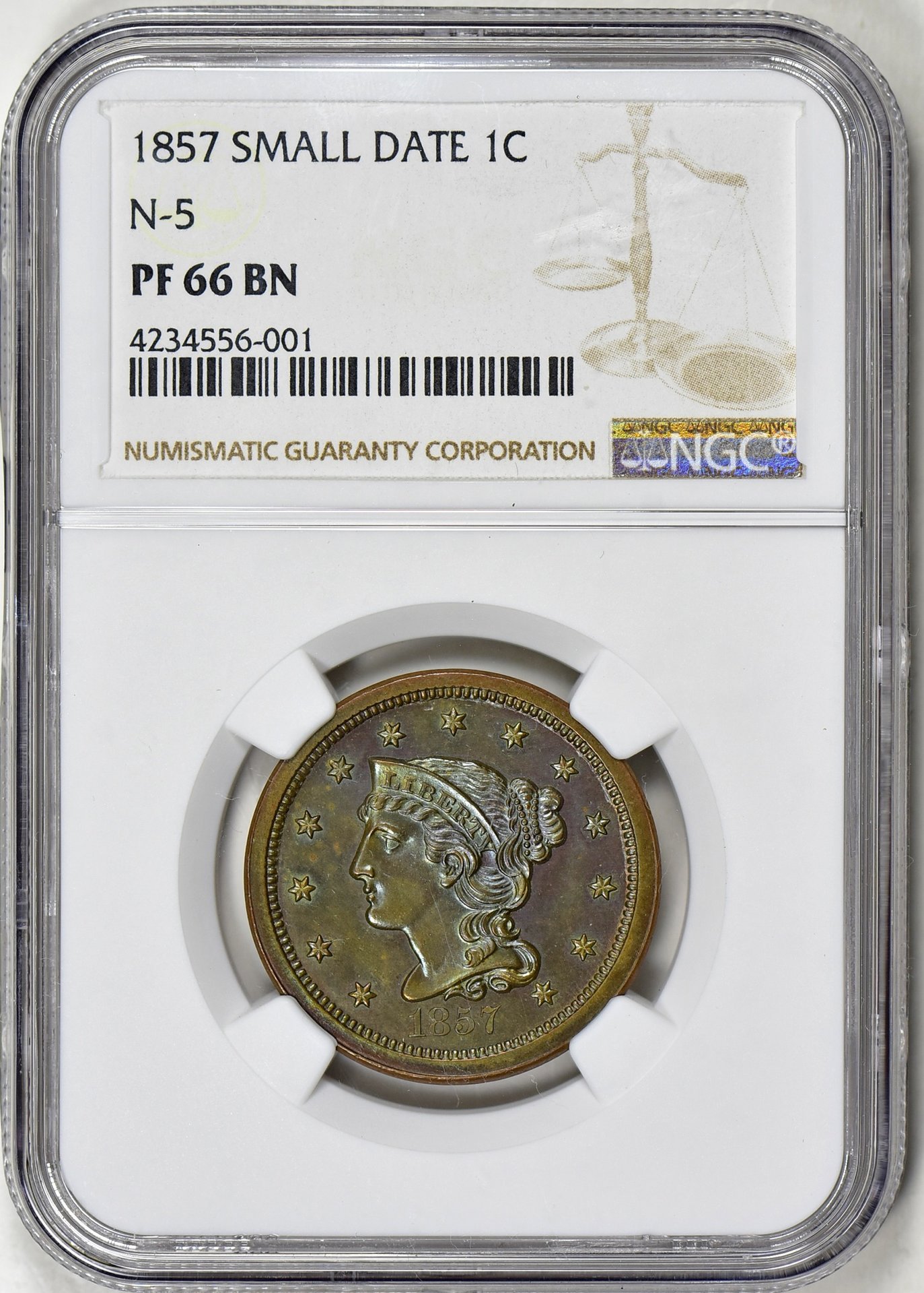 1857 6550.jpg