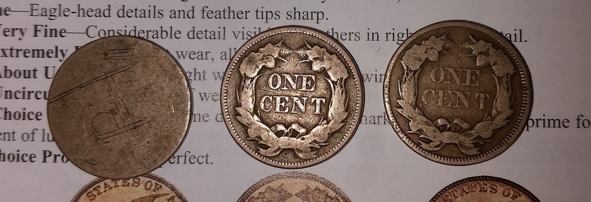 1857 flying eagle (back).jpg