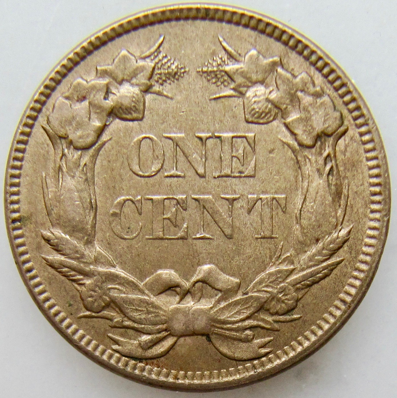 1857 Flying Eagle Cent REV4 N - 1.jpg