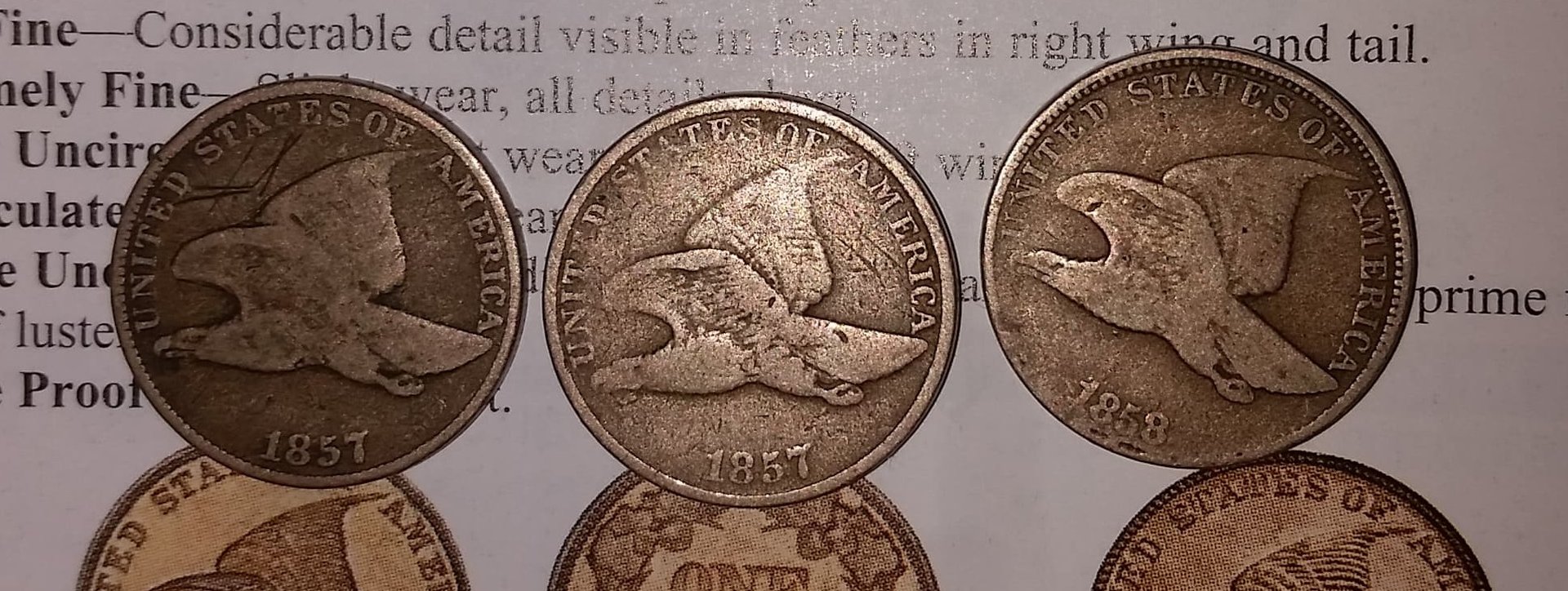 1857 flying eagle.jpg