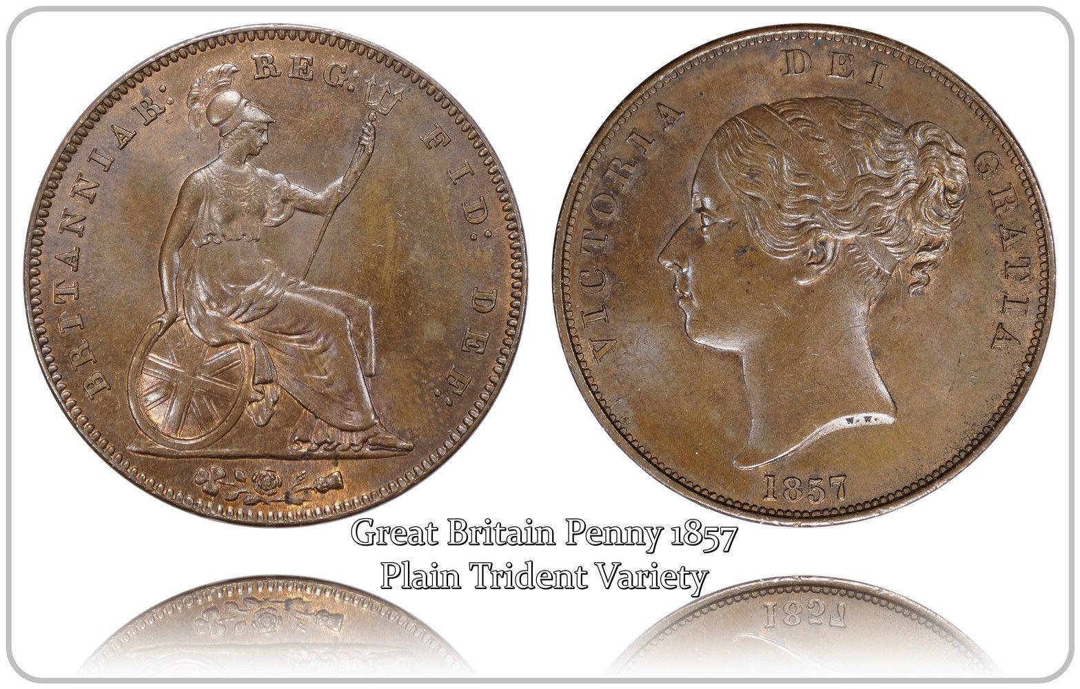 1857zz.jpg