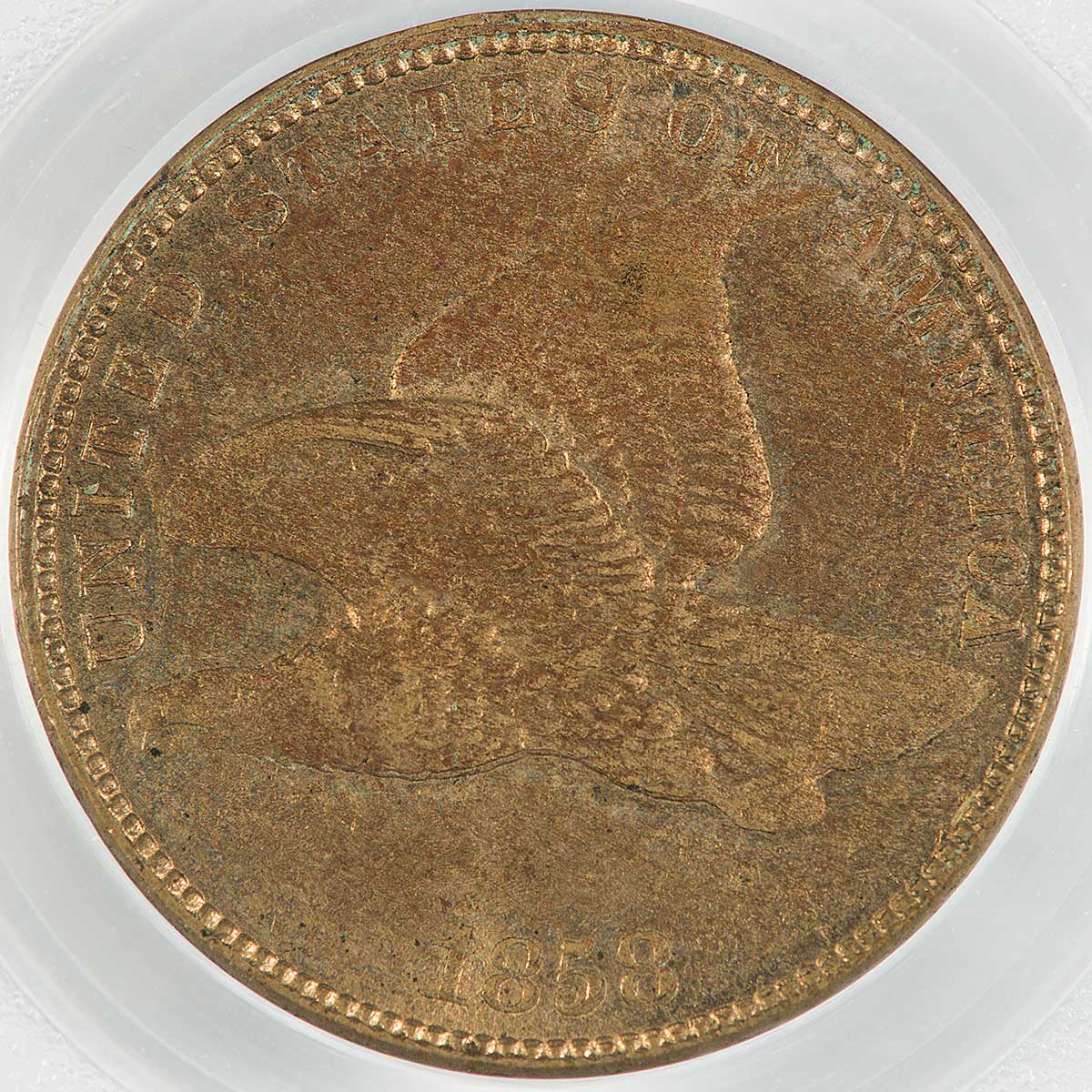 18581cObv.jpg