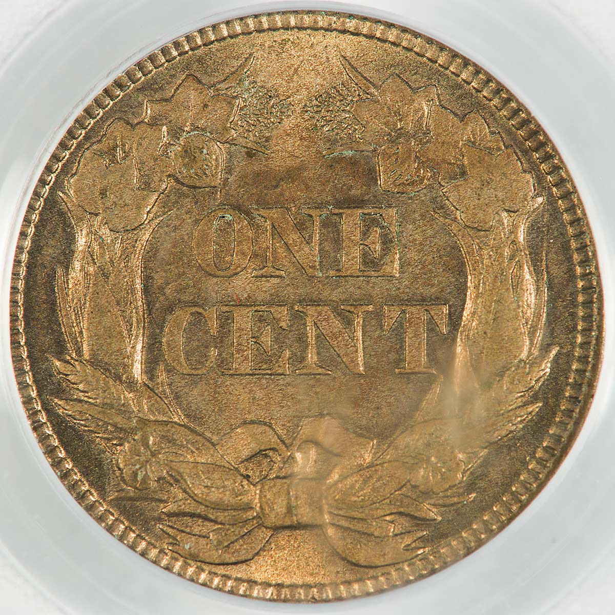 18581cRev.jpg