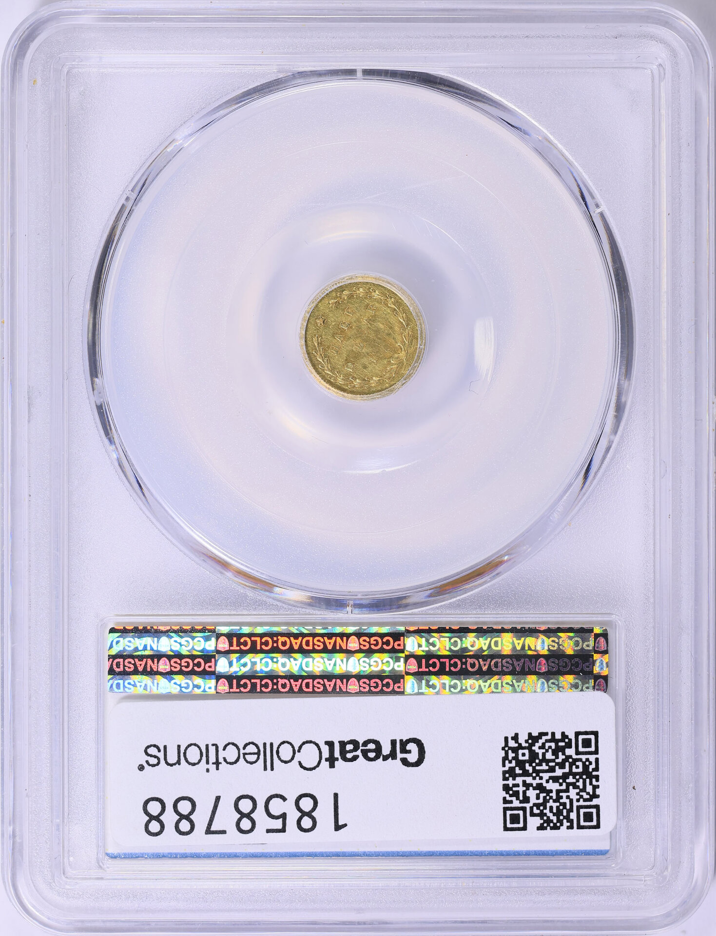 1858788-2.jpg
