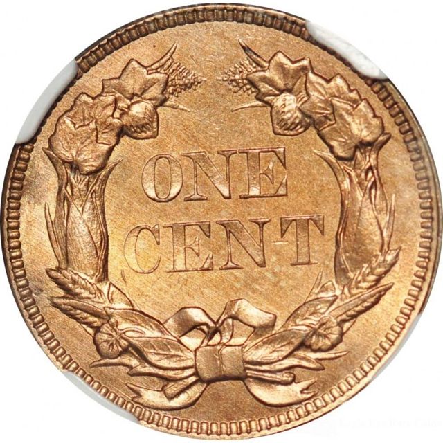 1858_64FErsm.jpg