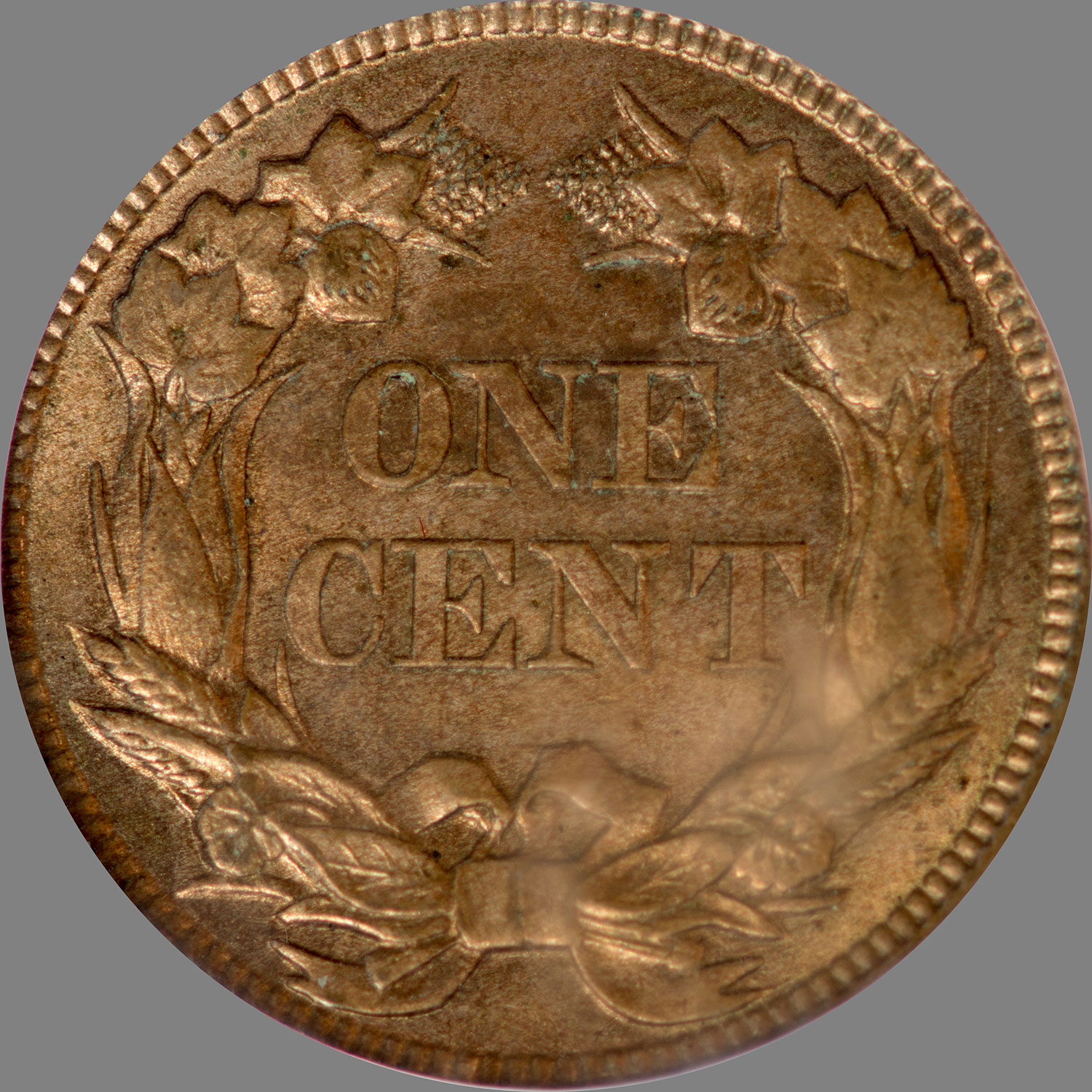 1858Rev.jpg