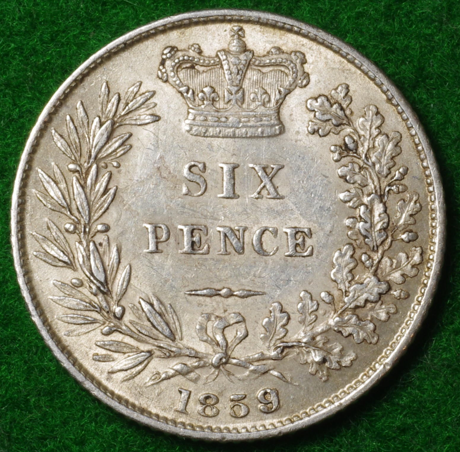 1859 6D 1.JPG