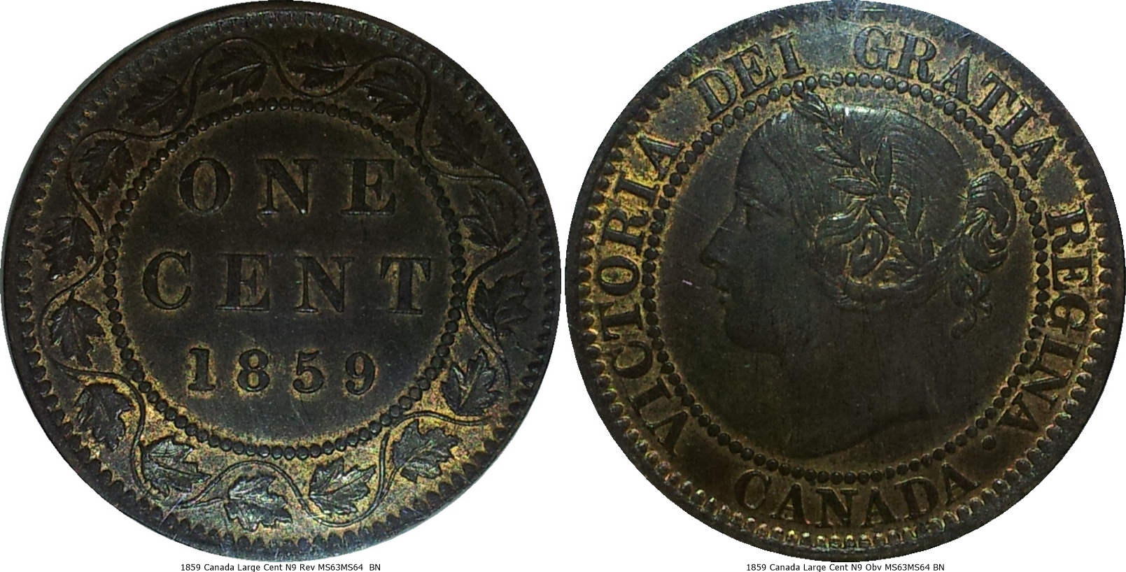 1859 Canada Large Cent N9 MS63MS64  BN-tile.jpg