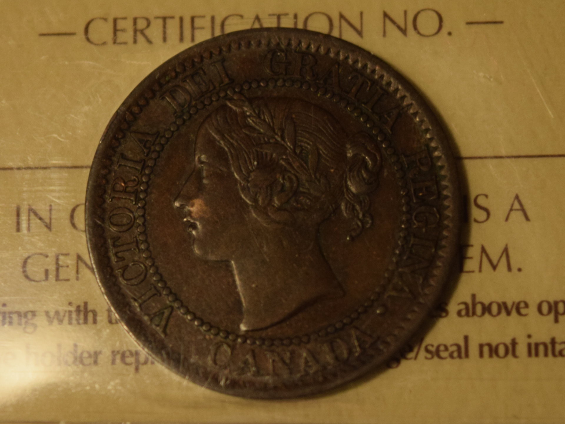 1859 Large Cent Obverse.JPG