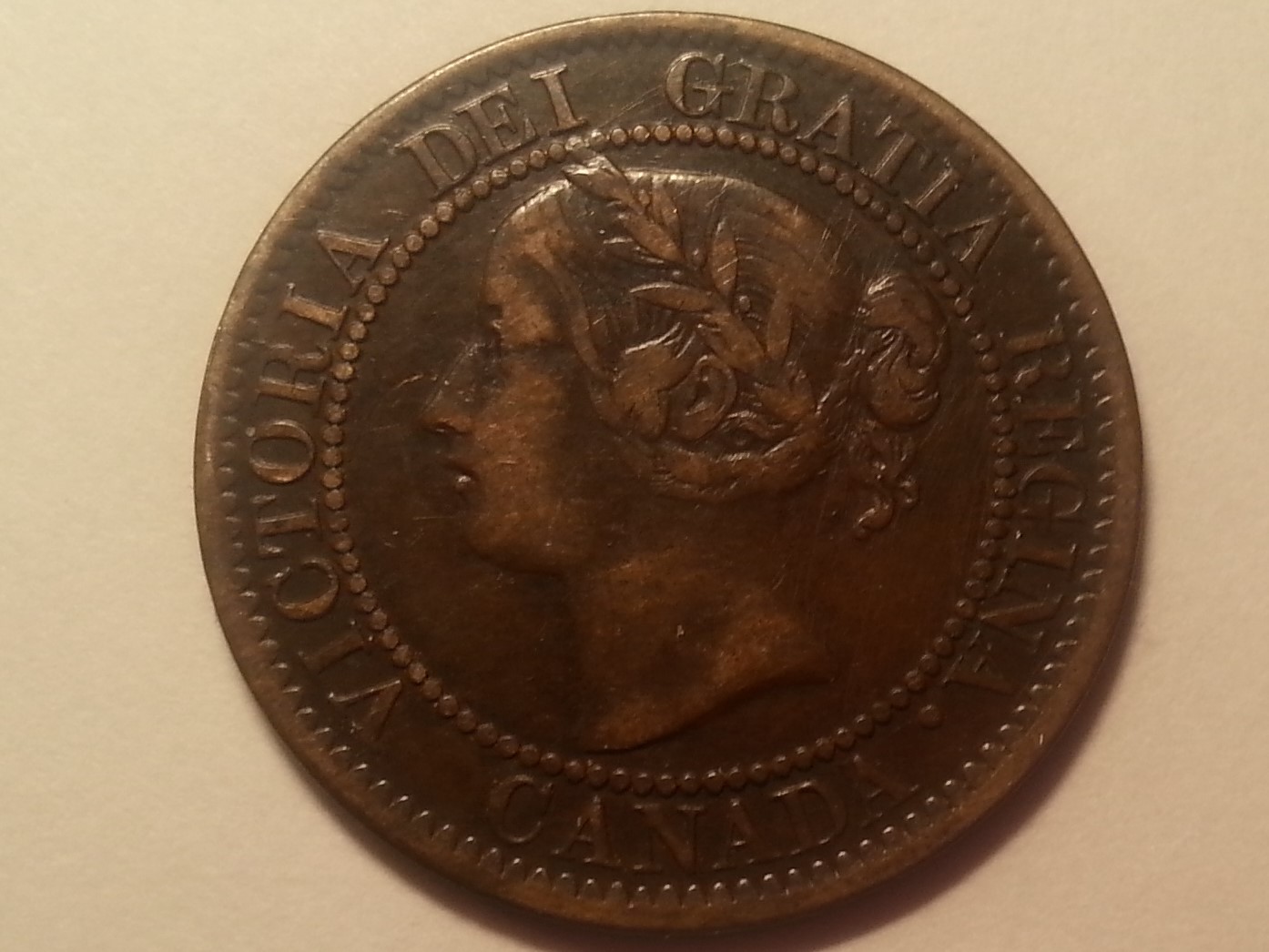 18590.jpg
