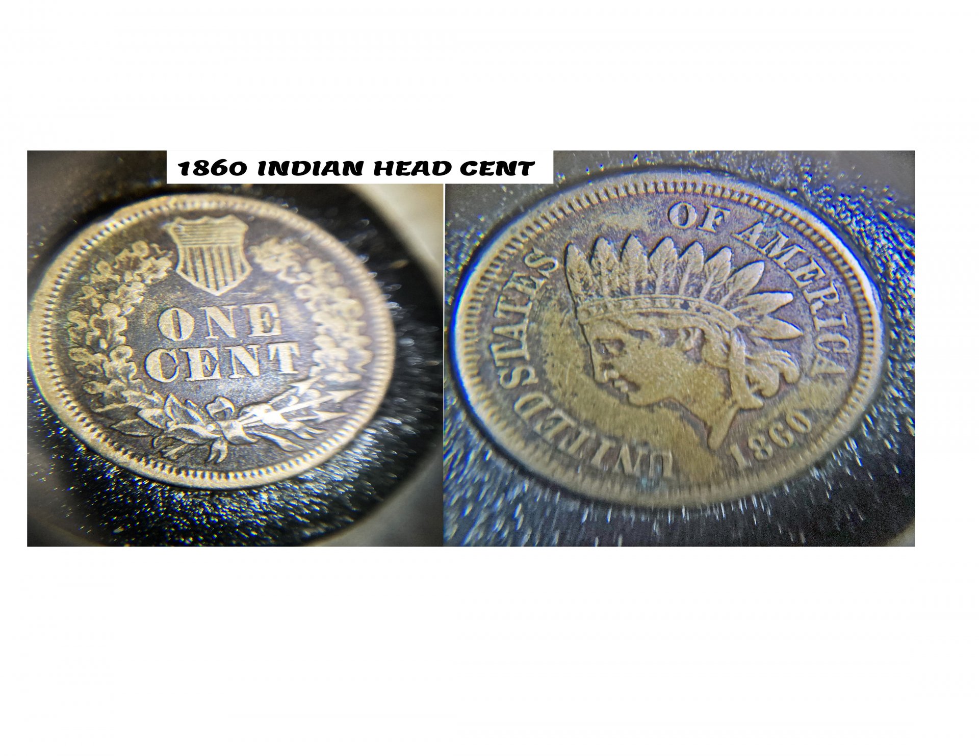 1860 CENT A1.jpg