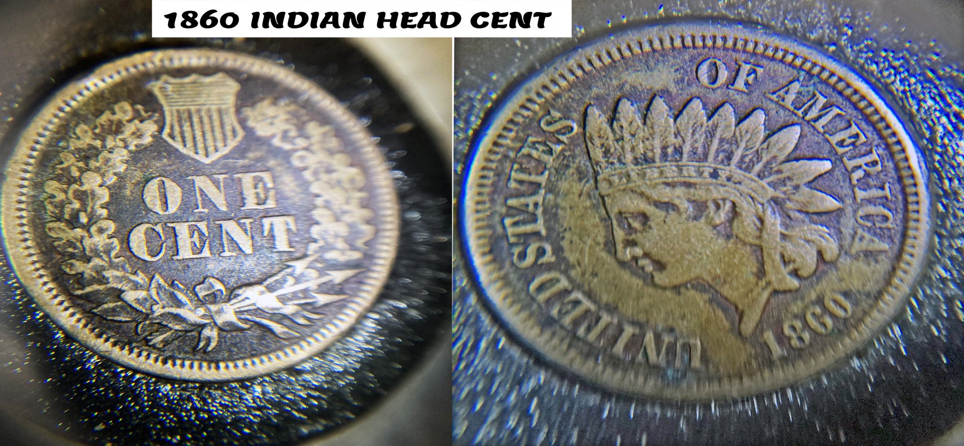 1860 INDIAN HEAD CENT.jpg