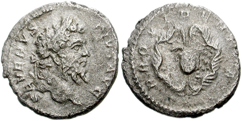 1860195.jpg