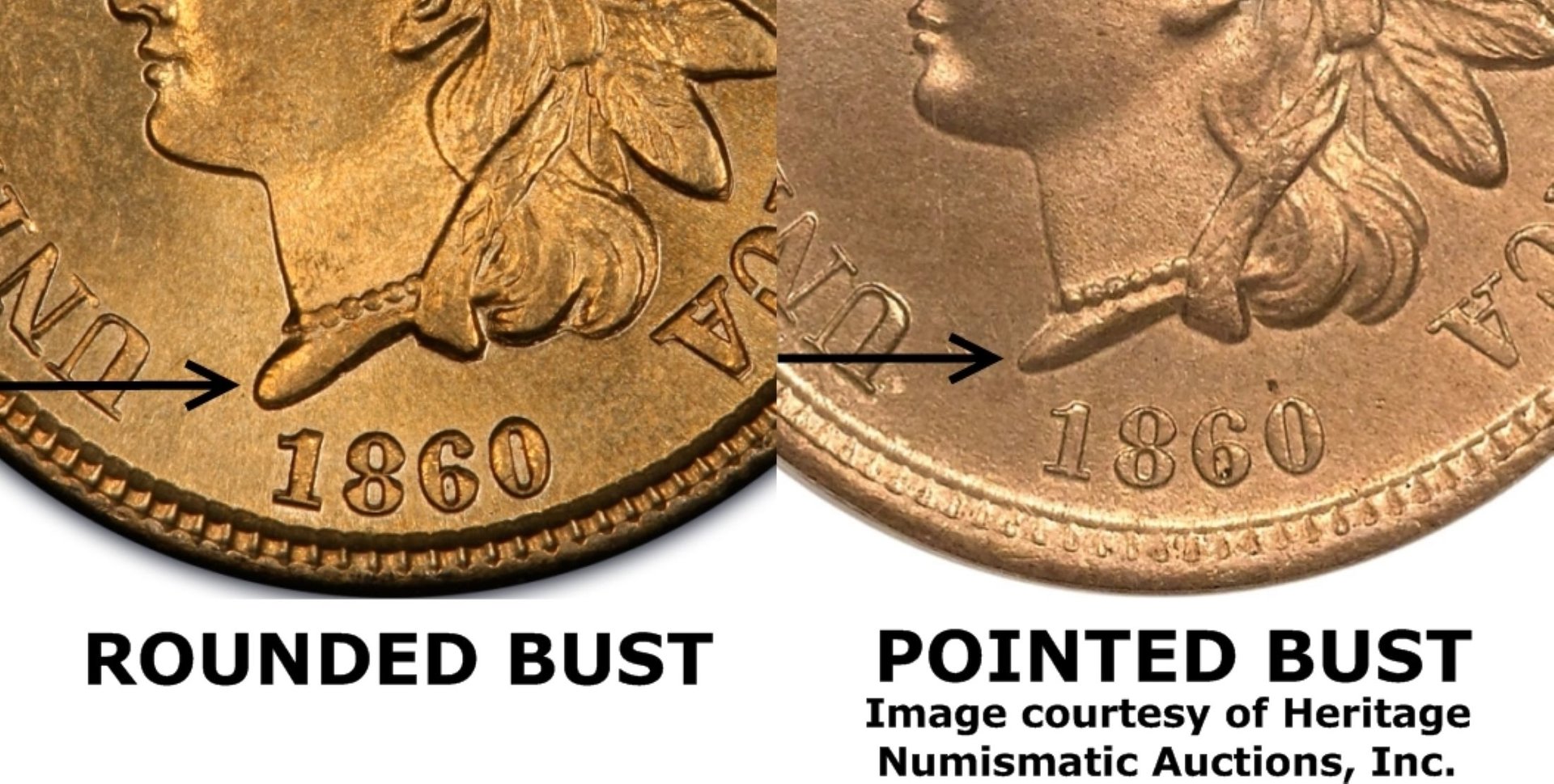 1860IHC pointed bust.jpg